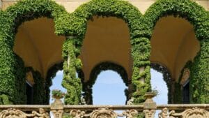 Bellagio: crociera sul Lago di Como con visita ai giardini di Villa Balbianello inclusa